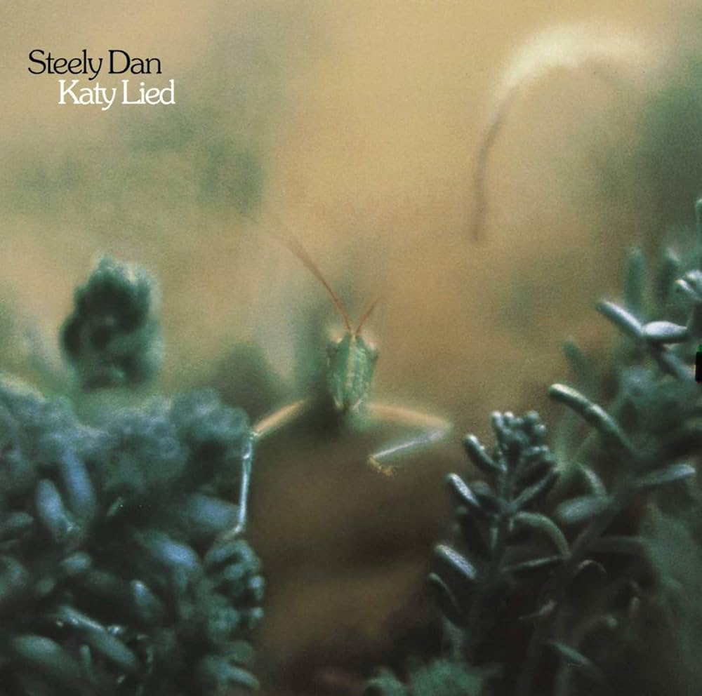 Buy Steely Dan Online