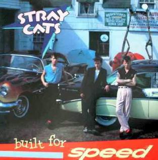 Buy Stray Cats Online