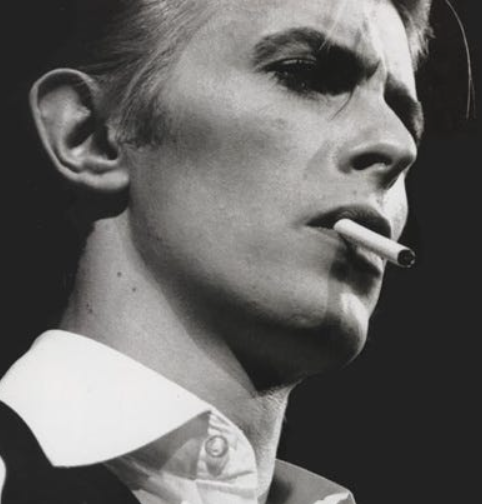 Buy David Bowie Online