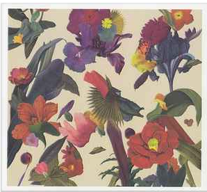 Buy Washed Out Online
