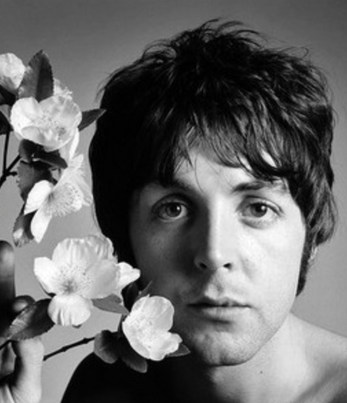 Buy Paul McCartney Online