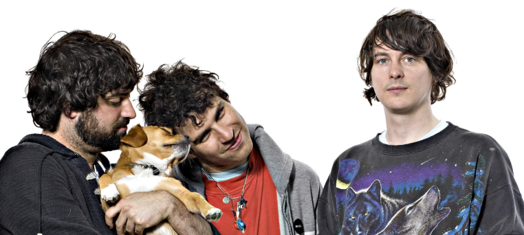 Buy Animal Collective Online