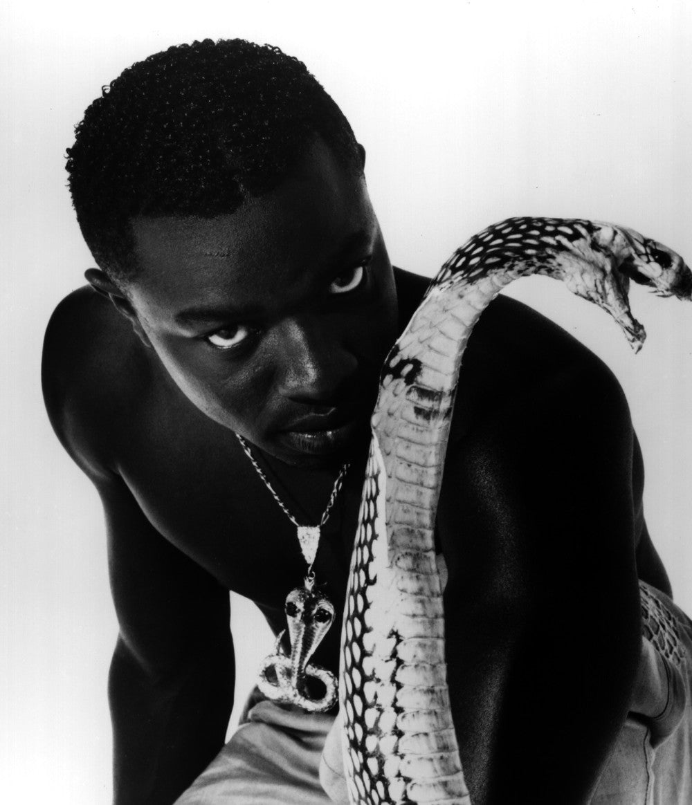 Buy Mad Cobra Online