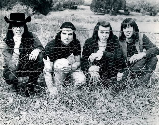 Buy The Seeds Online