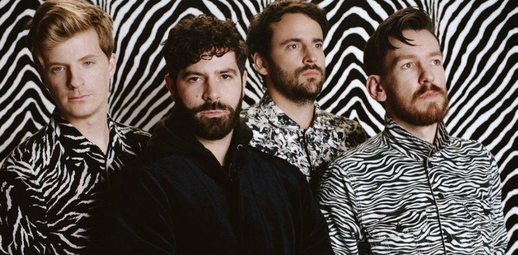 Buy Foals Online