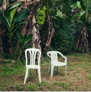 Buy Bad Bunny Online