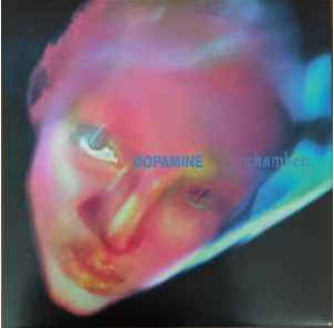 Buy Fontaines D.C. Online