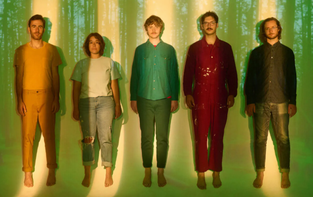 Buy Pinegrove Online