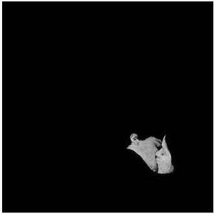 Buy Bob Moses Online