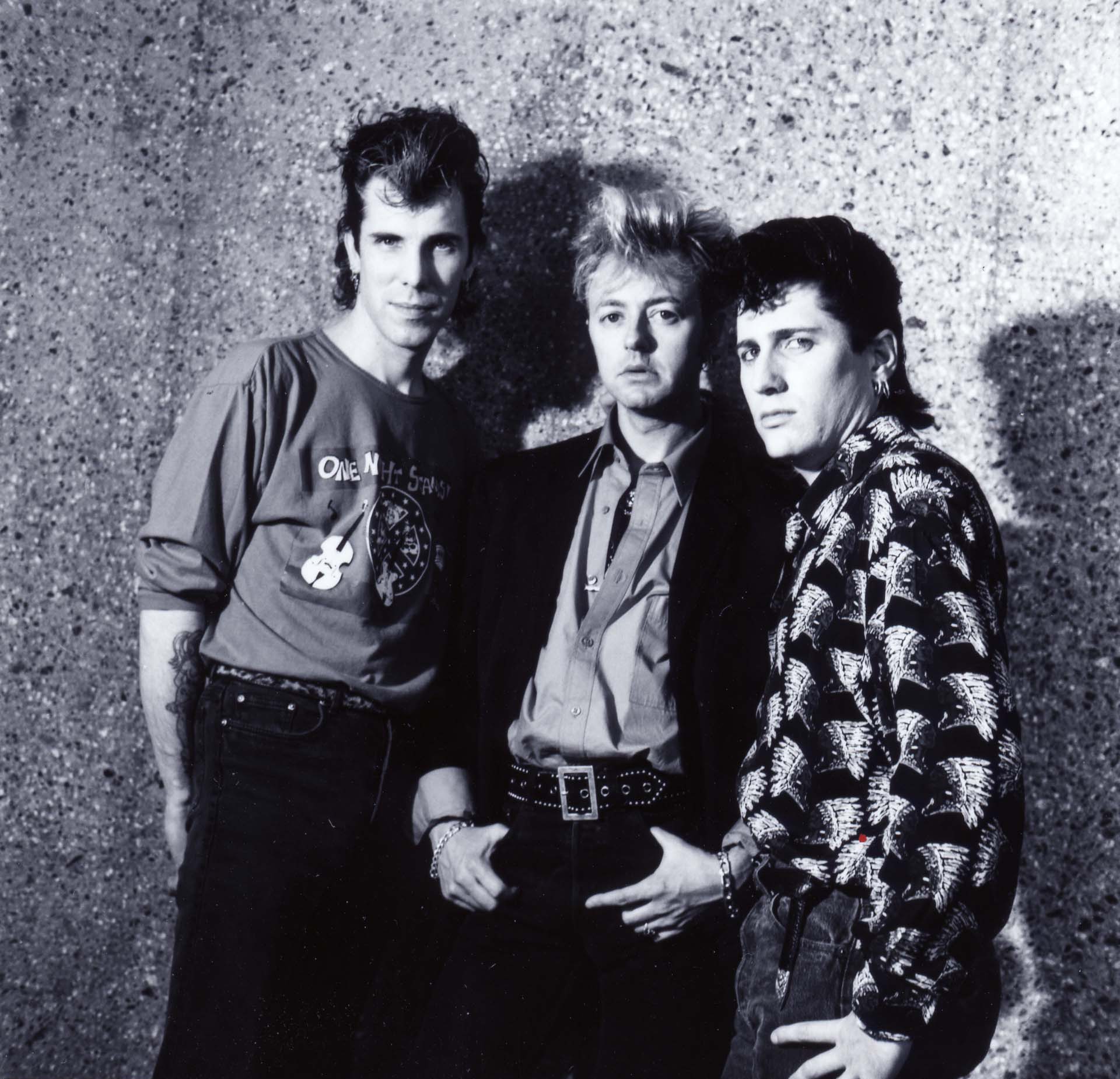 Buy Stray Cats Online